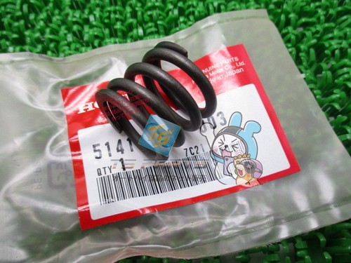 Cb750f rebound spring in - rebound,