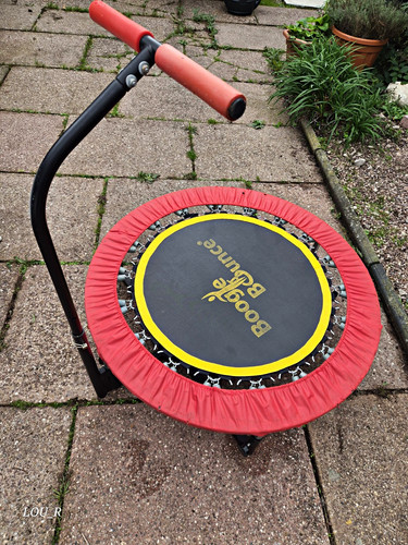 Boogie bounce fitness mini - boogie,
