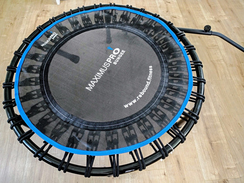 Maximus pro bungee fitness - maximus,