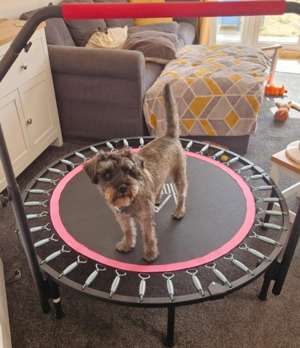 Homcom foldable rebounder - homcom,