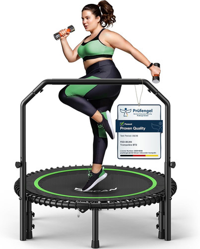 Rebounder - b,